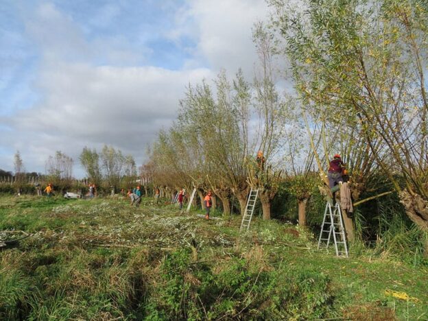 Zaterdag 7 november 2026: Landelijke Natuurwerkdag
