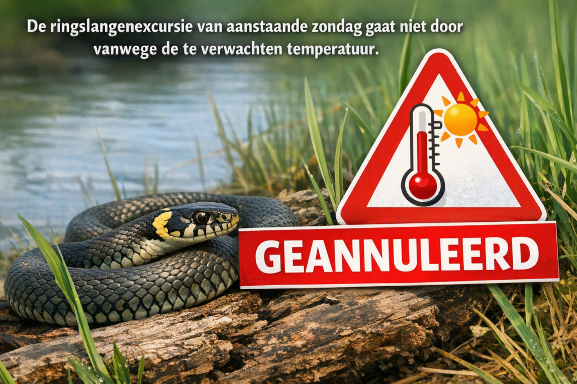 12 juli: excursie per fiets naar ringslangen (Geannuleerd)