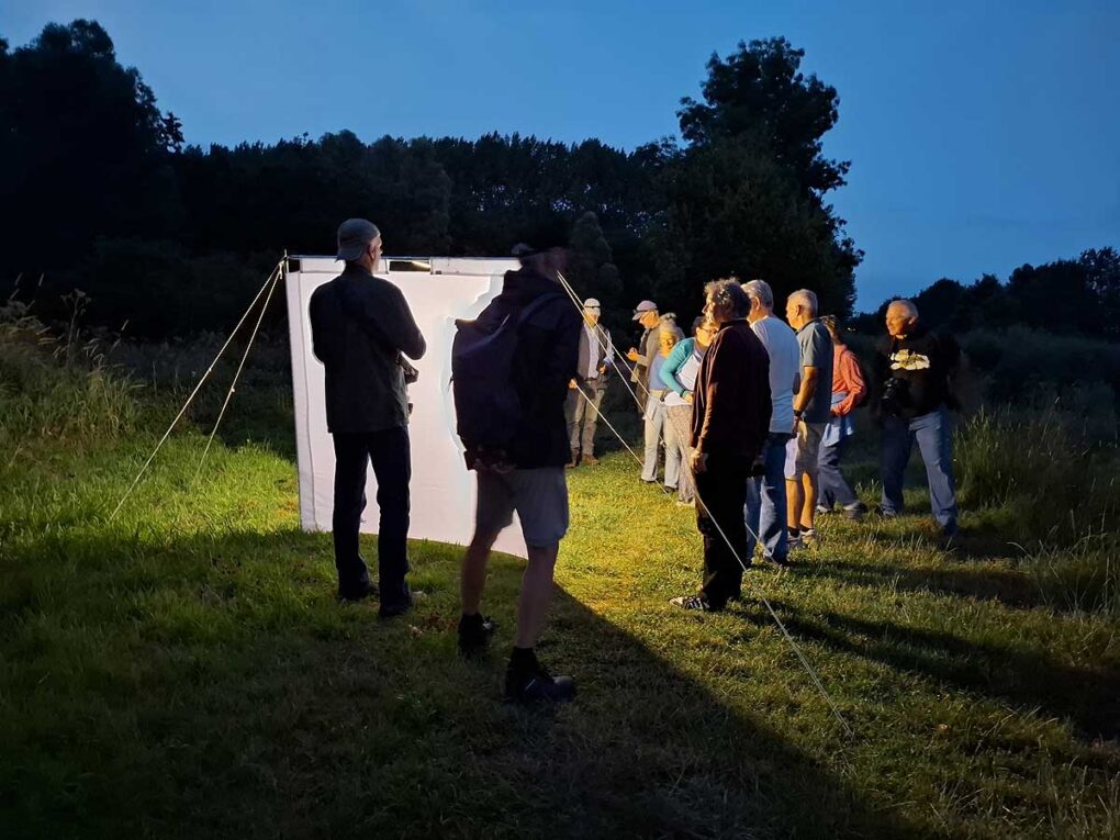 Nationale Nachtvlinder Nacht in Nieuw Wulven een succes!